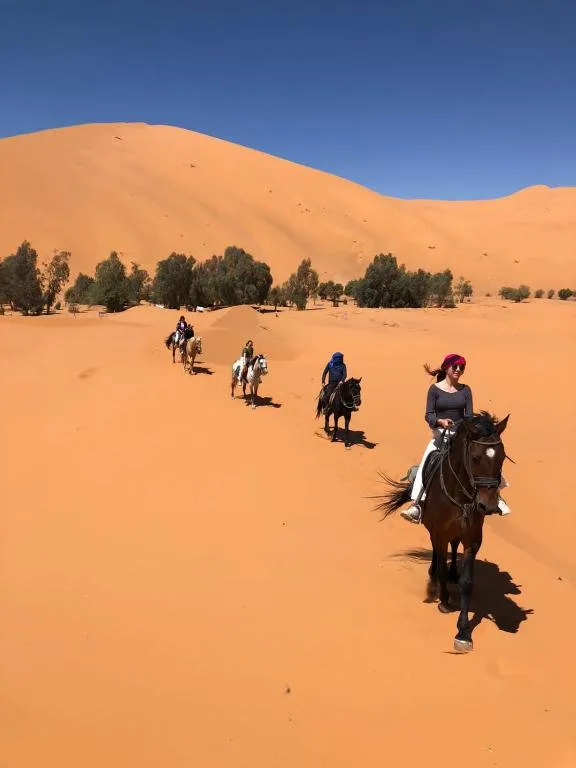 Sahara House